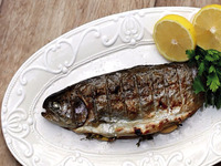 TROUT